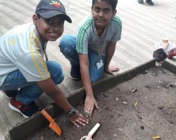 Std VI Field Trip to Eco Farm at Wada